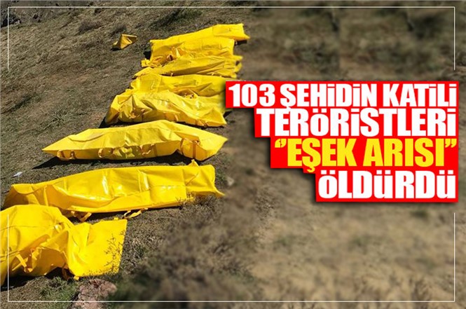 103 Şehidin Katili 18 Pkk'lı Teröristi "eşek Arısı" Öldürdü