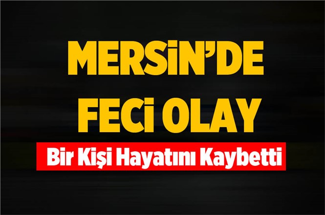 Mersin Mut'ta Durmuş Ali Büyükceran Feci Kazada Hayatını Kaybetti