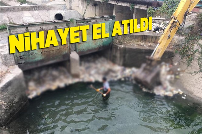 Mersin Tarsus'taki Kanallarda Temizlik Yapıldı