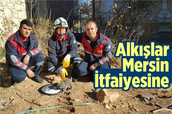 Mersin Gülnar'da Mahsur Kalan Yavru Köpeği İtfaiye Kurtardı