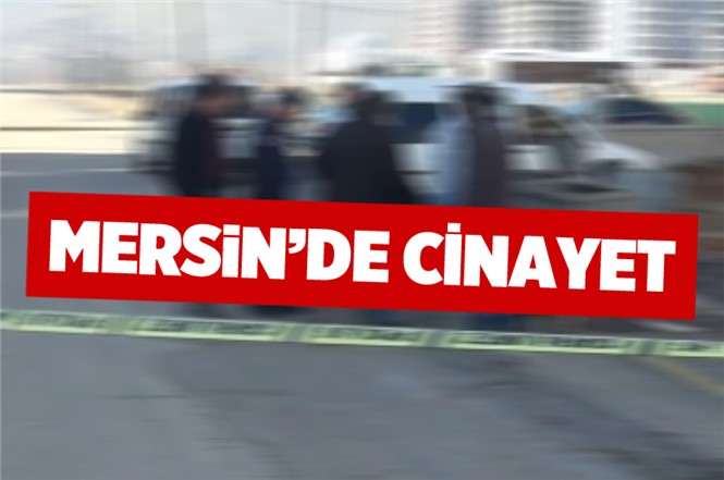 Mersin Toroslar'da Cinayetle İlgili Bir Kişi Tutuklandı