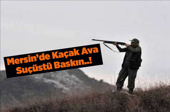 Mersin'de Kaçak Avcıya Baskın