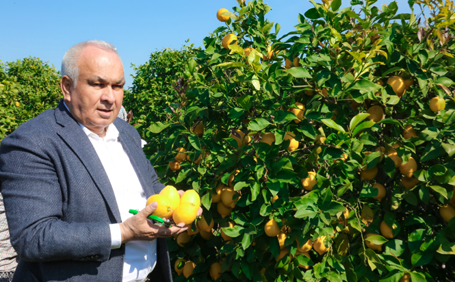 Başkan Tollu’dan Erdemli'ye Limonata Fabrikası Müjdesi