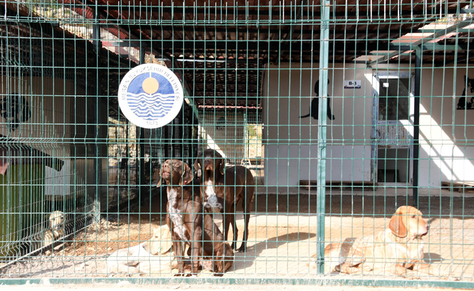 Mersin'de Dev Bir Tesis Daha Hizmette, Kaşlı Geçici Hayvan Bakımevi'nin Açılışı Yapıldı