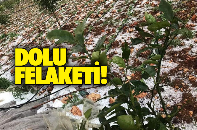 Mersin Merkez ve İlçelerinde Dolu Felaketi