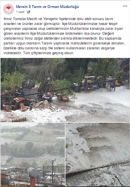 Mersin İl Tarım ve Orman Müdürlüğünden, Mersin'i Vuran 'Dolu Afeti' İle İlgili Önemli Açıklama