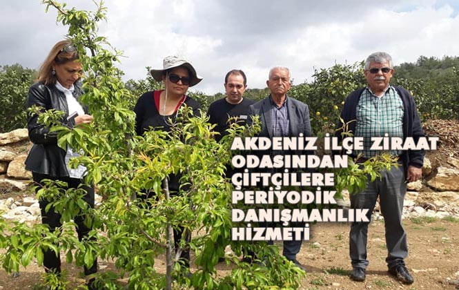 Mersin Akdeniz Ziraat Odası Tarım Danışmanlarından Periyodik Danışmanlık Hizmeti