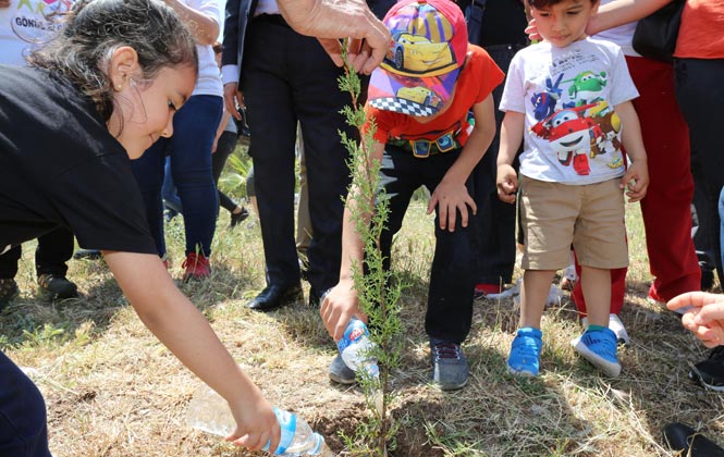 Mersin Toroslar’da, 1919 Adet Fidan Toprakla Buluştu