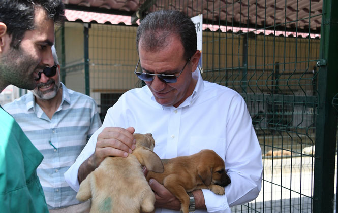 Baskan Secer Den Hayvan Barinagina Ziyaret Mersin Haber