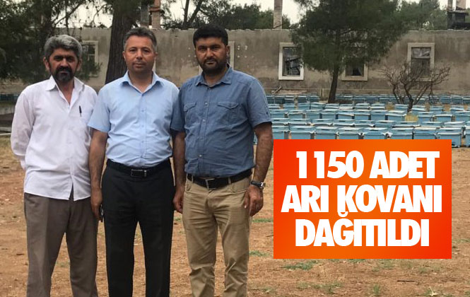 Mersin Erdemli’de 1150 Adet Arılı Kovan Genç Çiftçilere Teslim Edildi