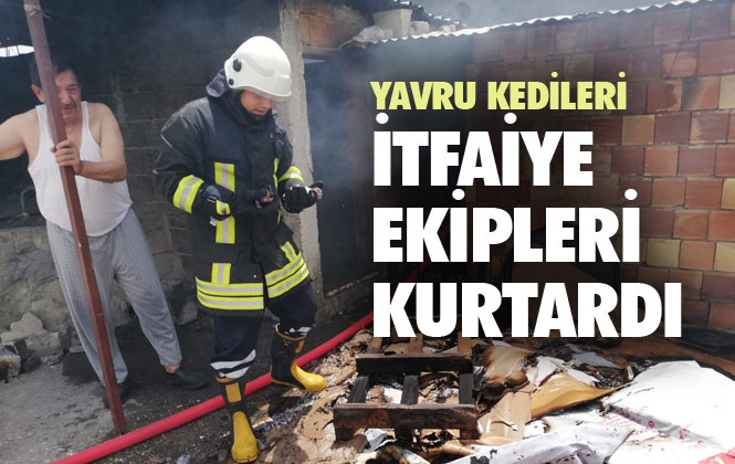 Mersin Tarsus Barbaros Mahallesindeki Bir Evin Odunluğunda Çıkan Yangında, Yavru Kedileri İtfaiye Kurtardı