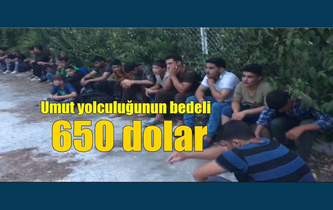 Kaçak Yolla Suriye'den İstanbul'a Götürülmek İçin 650 Dolar Veren 54 Kişi Yakalandı