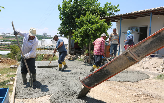 Kocahasanlı, Tollu İle Beton Yol Modeline Geçti