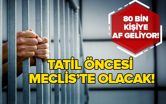 Af Yasası Ne Zaman Çıkacak? Af Ne Zaman Meclis'e Gelecek?.