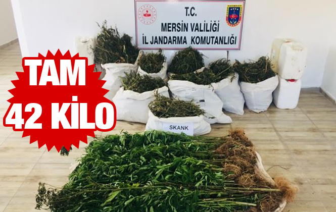 Mersin'de Jandarma Ekiplerinden Nefes Kesen Operasyon