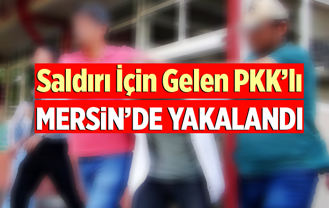 Terör Örgütü PKK'nın Dağ Kadrosundaki Terörist Mersin'de Yakalandı