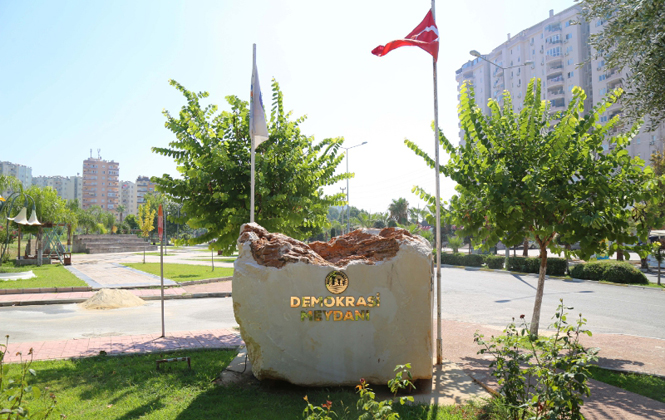 Mersin Mezitli'deki 500 Yıllık Anıt Ağaç Zeytin Verdi