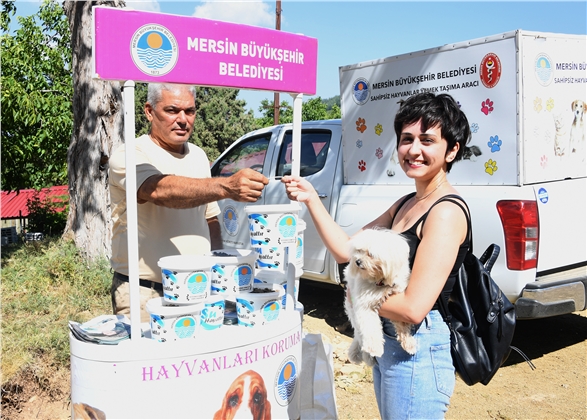 Büyükşehir, Şaymana’da Sahipsiz Hayvanları Unutmadı