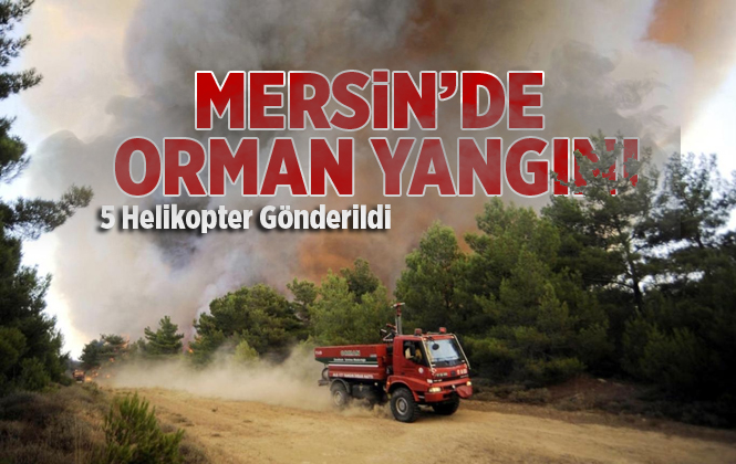 Mersin'de Gülnar'da Orman Yangını