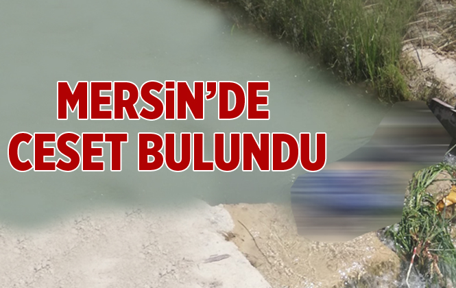 Mersin Silifke’de Kimliği Belirsiz Erkek Cesedi Bulundu