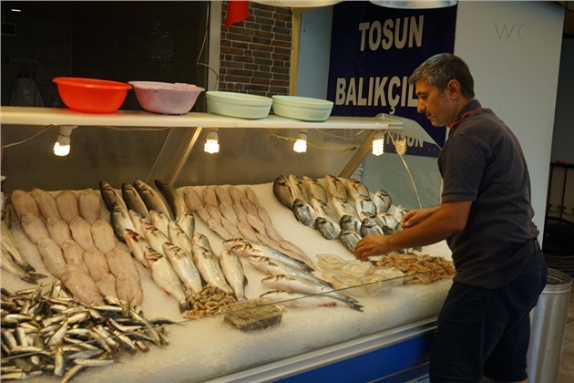 Mersin'de Balık Vatandaşın Ayağına Geldi