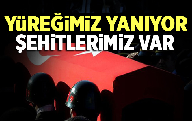 Şırnak’tan Acı Haber 3 Şehidimiz Var!