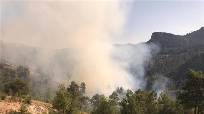 Mersin Tarsus'ta orman yangını söndürüldü