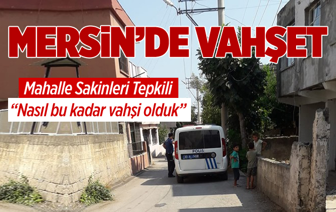 Mersin’de Köpek Yavruları Vahşice Katledildi