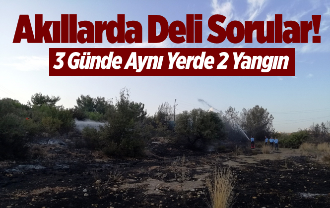 Mersin'de Aynı Bölgede 3 Günde 2 Yangınla İlgili Soruşturma Başlatıldı