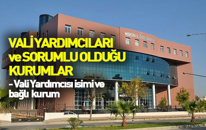 03 Eylül 2019 Tarihli, Mersin Vali Yardımcıları Arası Görev Dağılımı Yönergesi