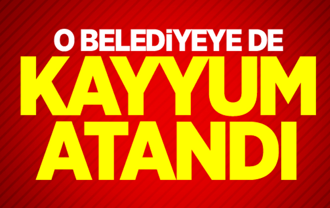 Kulp Belediyesi'ne Kayyum Atandı