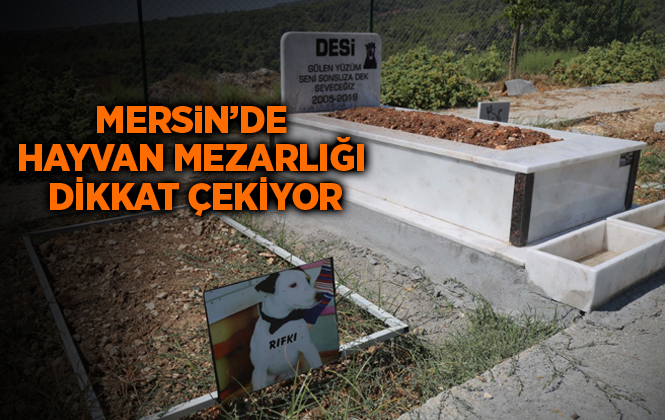 Mezitli Belediyesi Hayvan Mezarlığı Anıları Barındırıyor
