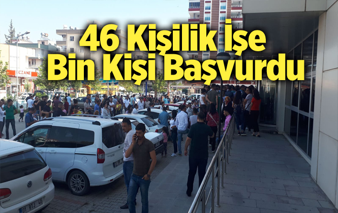 Tarsus’ta 46 kişilik iş için bin kişi başvurdu