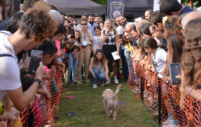 Mersin’in İlk Hayvan Festivali Patifest Başladı! Patifest’in İlk Gününe Hayvan Severlerden Tam Not