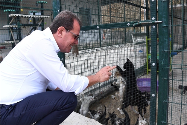 Mersin’de Altı Ayda 723 Kedi ve 1583 Köpeğin Tedavisi Yapıldı