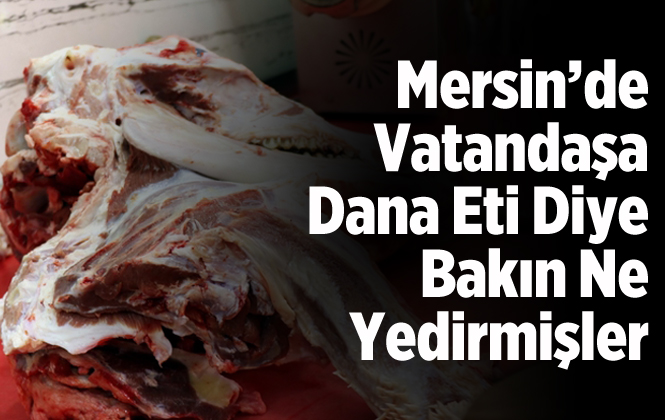 Mersin'de Sucuklarda Baş Eti Çıktı. Baş Eti Nedir?