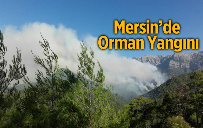 Mersin Mut İlçesinde Orman Yangını