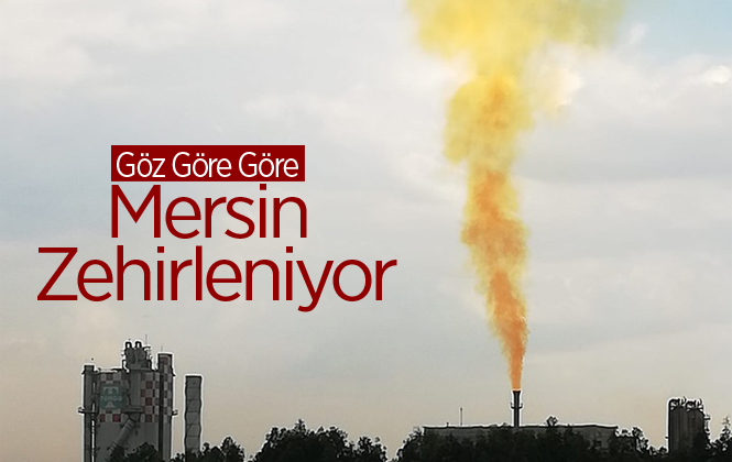 Mersin Göz Göre Göre Zehirleniyor