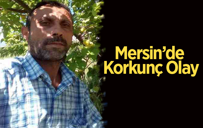 Mersin Mut’ta Mehmet Elbeyli Darp Edilerek Öldürüldü