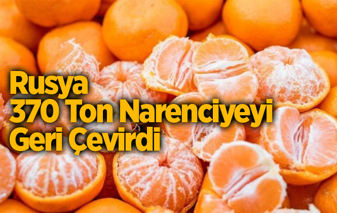 Rusya, Türkiye’den Gönderilen 370 Ton Mandalinayı Geri Çevirdi