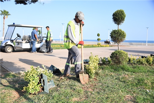 Mersin' Yeşilleniyor