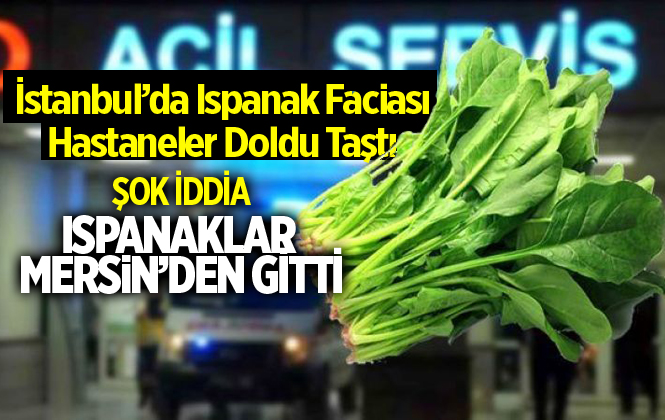 İstanbul'da Zehirlenmeye Neden Olan Ispanaklar Mersin'den Gitti İddiası