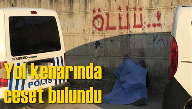 Adana'da Fahrettin Aydın'ın Cesedi Yol Kenarında Bulundu