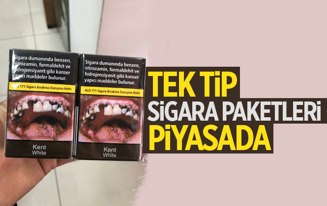 Tek Tip Sigara Paketleri Piyasada