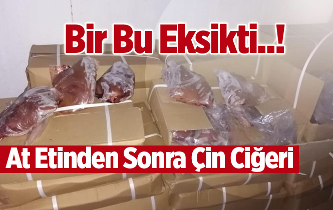 Mersin’e Çin’den Getirilen Kaçak 23 Ton Kuzu Ciğeri Yakalandı