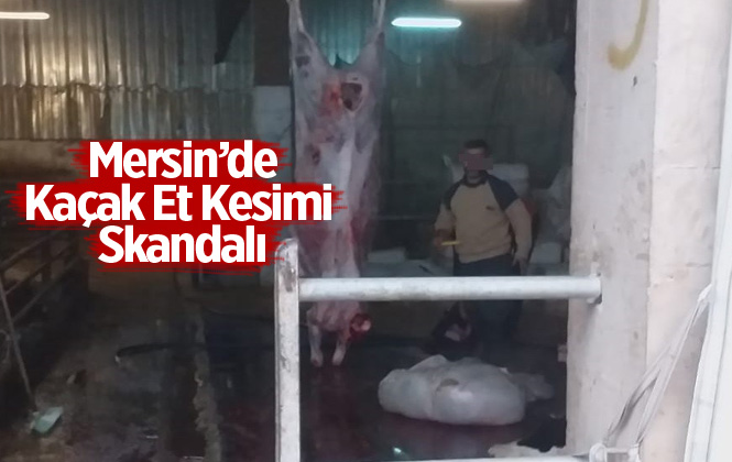 Tarsus’ta 173 Kilo Kaçak Kesim Et Ele Geçirildi