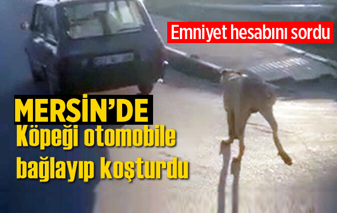 Tarsus'ta Bir Kişi Köpeği Otomobile Bağlayıp Koşturdu