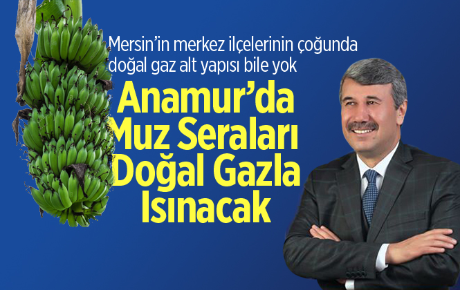 Anamur Muzu Doğal Gazla Isınacak