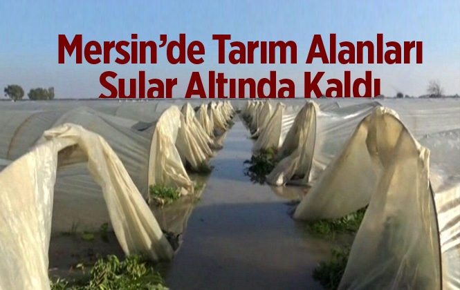 Mersin Tarsus'ta Tarım Alanları Sular Altında Kaldı