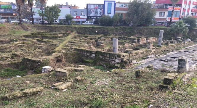 Tarsus’ta Antik Yol Çevresindeki Ağaçlar Budandı